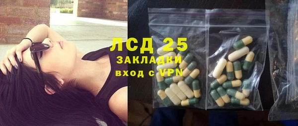 индика Гусь-Хрустальный