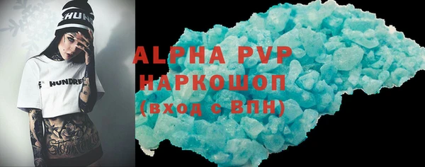 индика Гусь-Хрустальный