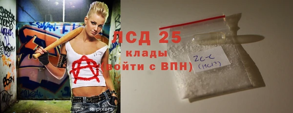 индика Гусь-Хрустальный