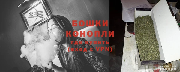 ешки Гусев