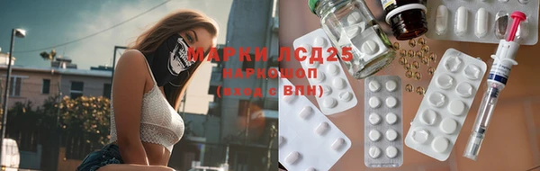 индика Гусь-Хрустальный