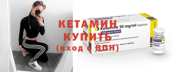 индика Гусь-Хрустальный