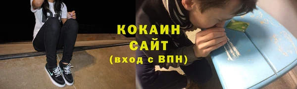 индика Гусь-Хрустальный