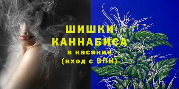 ешки Гусев