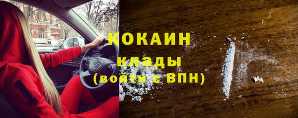 индика Гусь-Хрустальный