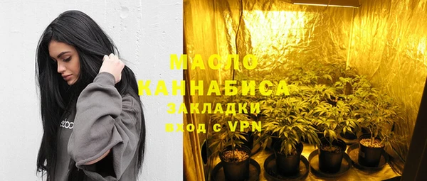 индика Гусь-Хрустальный