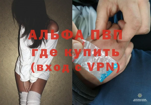 ешки Гусев